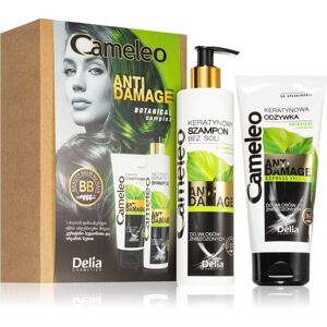 Delia Cosmetics Cameleo Anti Damage darčeková sada (pre poškodené a krehké vlasy)