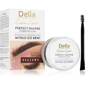 Delia Cosmetics Eyebrow Expert fixačný vosk na obočie odtieň Brown 10 ml