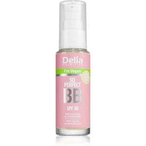Delia Cosmetics BB So Perfect zmatňujúci BB krém s hydratačným účinkom odtieň 01 Light 30 ml