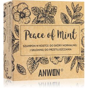 Anwen Peace of Mint tuhý šampón without alu can 75 g