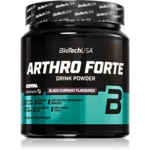 BioTechUSA Arthro Forte prášok na prípravu nápoja na výživu kĺbov a chrupaviek príchuť Black Currant 340 g