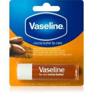 Vaseline Lip Care balzam na pery odtieň Cocoa 4,8 g