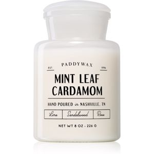 Paddywax Farmhouse Mint Leaf & Cardamom vonná sviečka (Apothecary) 226 g