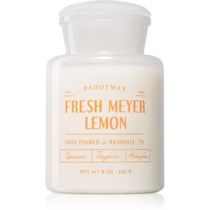 Paddywax Farmhouse Fresh Meyer Lemon vonná sviečka (Apothecary) 226 g