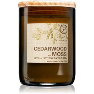 Paddywax Eco Green Cedarwood & Moss vonná sviečka 226 g