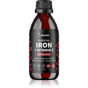 Blendea Iron + Vitamin C koncentrát pre normálnu tvorbu červených krviniek a hemoglobínu 250 ml