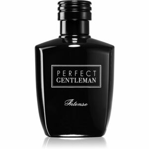 Art & Parfum Perfect Gentleman Intense parfumovaná voda pre mužov 100 ml