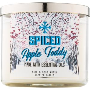 Bath & Body Works Camp Winter Spiced Apple Toddy vonná sviečka 411 g