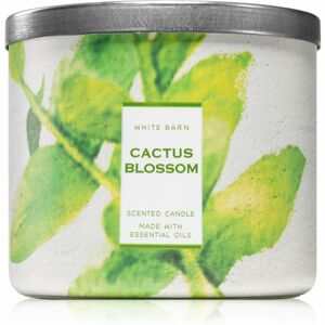 Bath & Body Works Cactus Blossom vonná sviečka s esenciálnymi olejmi 411 g