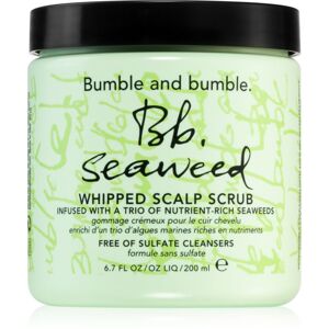 Bumble and bumble Seaweed Scalp Scrub vlasový peeling s extraktmi z morských rias s extraktmi z morských rias 200 ml