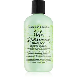 Bumble and bumble Seaweed Shampoo šampón pre vlnité vlasy s výťažkami z morských rias 250 ml