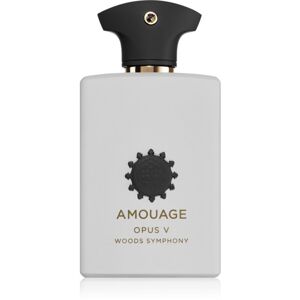 Amouage Opus V: Woods Symphony parfumovaná voda unisex