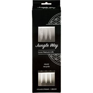 Jungle Way Glass straws with brush sada (na každodenné použitie)