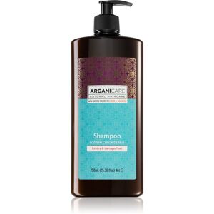Arganicare Argan Oil & Shea Butter šampón pre suché a poškodené vlasy 750 ml