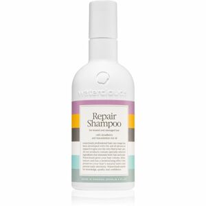Waterclouds Repair Shampoo jemný šampón pre starostlivosť 250 ml