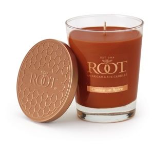 Root Candles Cinnamon Spice vonná sviečka 297,7 g