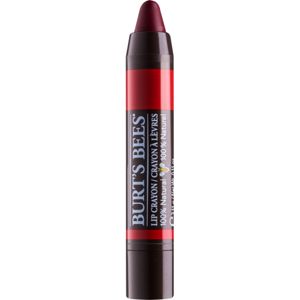Burt’s Bees Lip Crayon rúž v ceruzke s matným efektom odtieň 435 Napa Vineyard 3.1 g