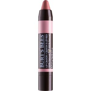 Burt’s Bees Lip Crayon rúž v ceruzke s matným efektom odtieň 405 Sedona Sands 3.1 g