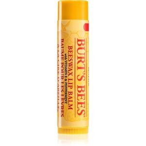 Burt’s Bees Lip Care balzam na pery s včelím voskom (with Vitamin E & Peppermint) 4,25 g
