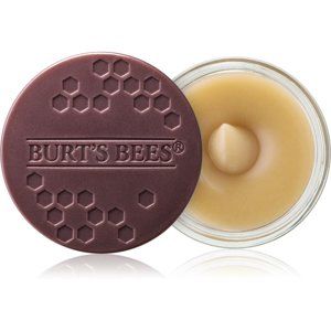 Burt’s Bees Lip Scrub peeling na pery s vyživujúcim účinkom 7.08 g