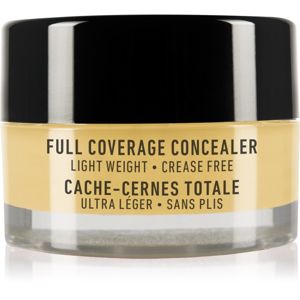 NYX Professional Makeup Concealer Jar korektor odtieň Yellow 7 g