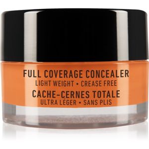 NYX Professional Makeup Concealer Jar korektor odtieň Orange 7 g