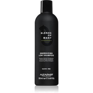 Alfaparf Milano Blends of Many Energizing energizujúci šampón pre jemné vlasy bez objemu 250 ml
