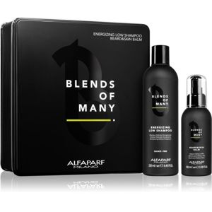 Alfaparf Milano Blends of Many darčeková sada (na vlasy ) pre mužov