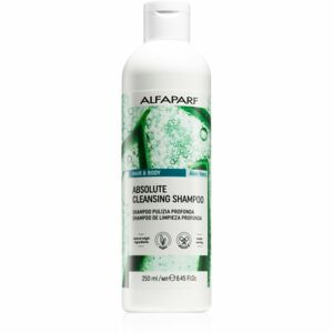 Alfaparf Milano Hair & Body Aloe Vera čistiaci šampón na telo a vlasy 250 ml