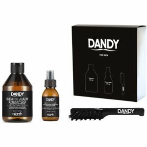 DANDY Beard gift box darčeková sada (na bradu)