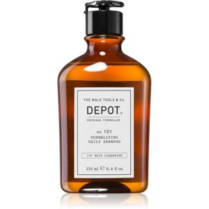 Depot No. 101 Normalizing Daily Shampoo normalizačný šampón na každodenné použitie 250 ml
