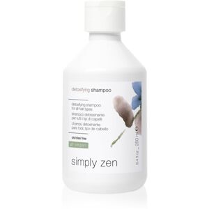 Simply Zen Detoxifying Shampoo čiastiaci detoxikačný šampón pre všetky typy vlasov 250 ml