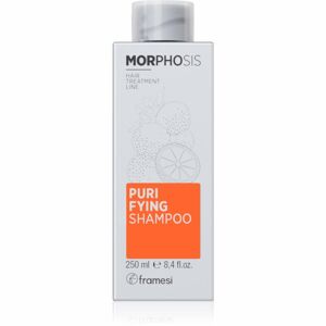 Framesi Morphosis Purifying čistiaci šampón proti lupinám 250 ml