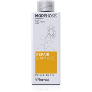 Framesi Morphosis Repair Conditioner vyživujúci šampón pre obnovu a posilnenie vlasov 250 ml