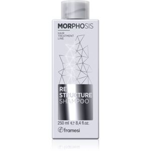 Framesi Morphosis Restructure reštrukturalizačný šampón pre suché a poškodené vlasy 250 ml