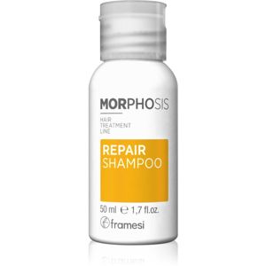 Framesi Morphosis Repair Conditioner vyživujúci šampón pre obnovu a posilnenie vlasov 50 ml