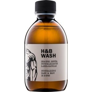 Dear Beard Shampoo H & B Wash šampón a sprchový gél 2 v 1 bez sulfátov a parabénov 250 ml