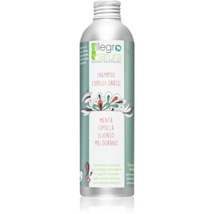 Allegro Natura Organic šampón pre mastné vlasy 250 ml