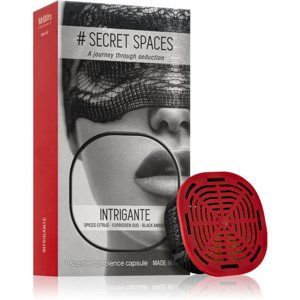 Mr & Mrs Fragrance Secret Spaces Intrigante náplň do aróma difuzérov kapsule