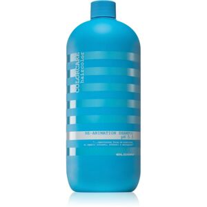 Elgon ColorCare obnovujúci šampón pre veľmi poškodené krehké vlasy 1000 ml