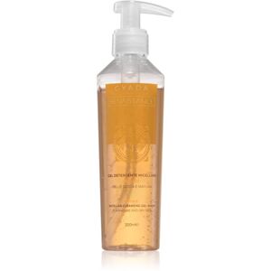 Gyada Cosmetics Reinassance čistiaci micelárny gél 200 ml