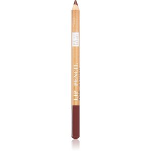 Astra Make-up Pure Beauty Lip Pencil kontúrovacia ceruzka na pery natural odtieň 03 Maple 1,1 g