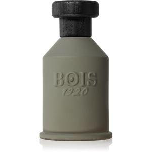 Bois 1920 Itruk parfumovaná voda unisex 100 ml