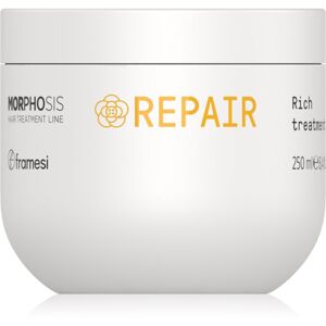 Framesi Morphosis Repair regeneračná maska na vlasy pre poškodené vlasy 250 ml