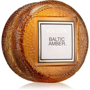 VOLUSPA Japonica Baltic Amber vonná sviečka II. 51 g