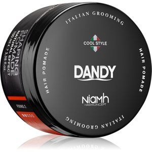 DANDY Shaping Pomade Natural Effect tvarujúca pomáda na vlasy 100 ml