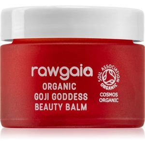 RawGaia Organic Goji Goddess hĺbkovo hydratačný balzam na tvár 30 ml
