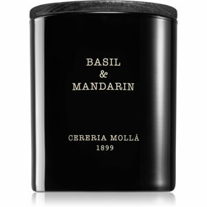 Cereria Mollá Boutique Basil & Mandarin vonná sviečka 230 g