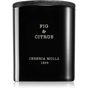Cereria Mollá Boutique Fig & Citrus vonná sviečka 230 g