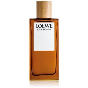 Loewe Loewe Pour Homme 100 ml
